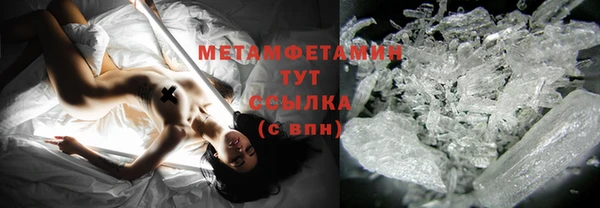 прущие грибы Медвежьегорск