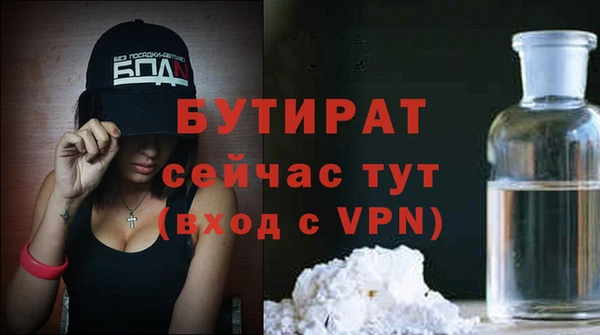 прущие грибы Медвежьегорск