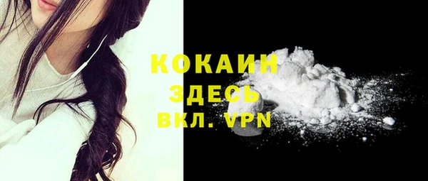 прущие грибы Медвежьегорск