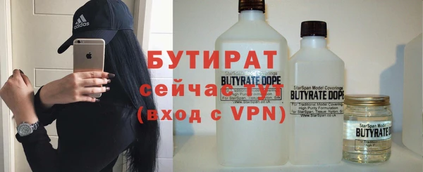 прущие грибы Медвежьегорск