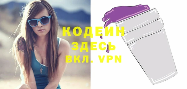 прущие грибы Медвежьегорск