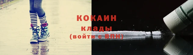 прущие грибы Медвежьегорск