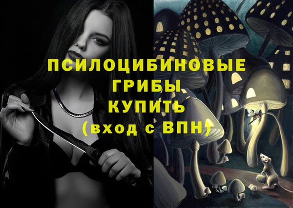 крисы Киров