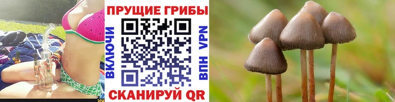 Галлюциногенные грибы мухоморы  кракен зеркало  Великий Новгород 